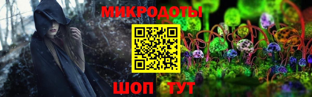 Псилоцибиновые грибы прущие грибы  Вход с VPN  Уссурийск  Галлюциногенные грибы Psilocybe 